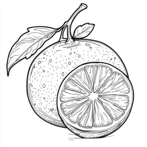 Arancia 34 Arancia da colorare thumbnail