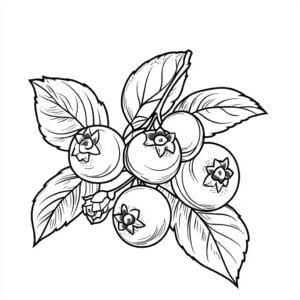 Mirtillo 29 Mirtillo da colorare thumbnail