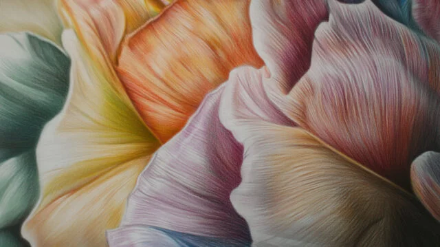 Sfumature con Matite Colorate: Crea Disegni 3D Realistici 5 Primo piano di un disegno a matita colorata in cui i colori sono stati completamente sfumati con un blender incolore, creando una superficie liscia e uniforme.