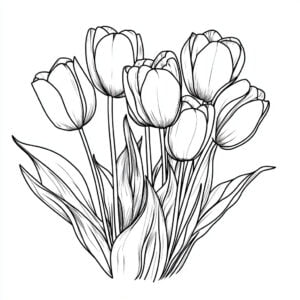 Tulipani thumbnail