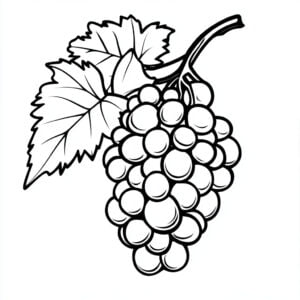 Uva 35 Uva da colorare thumbnail